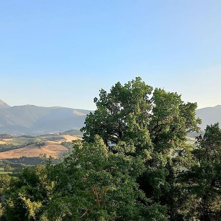 Pigno, Appartamento In Campagna Cagli Dış mekan fotoğraf