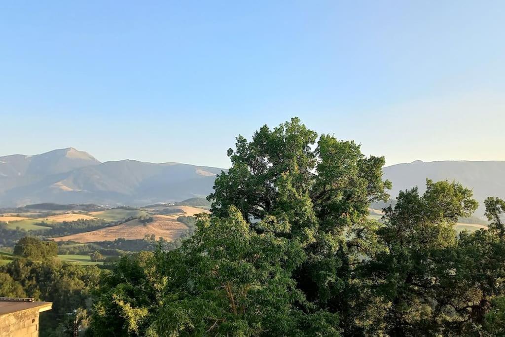 Pigno, Appartamento In Campagna Cagli Dış mekan fotoğraf